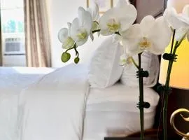 Charming Marigny 1BR Near Frenchmen Street