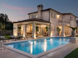 Beautiful Villa Elena with pool in Kanfanar