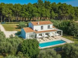 Modern villa Oliveti with pool and grill in Porec
