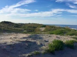 Oceanfront, dog-friendly condo with pool, hot tub, large deck, fast WiFi, & view