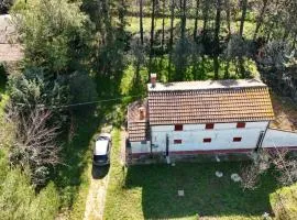 Senigallia, casale immerso nel verde delle colline - SE143