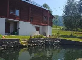 Котедж над ставом