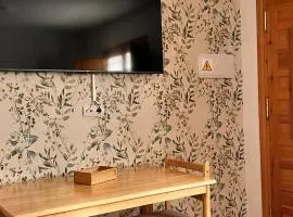 Apartamentos el Olivo