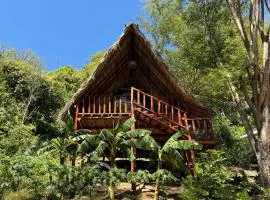 Itsalifestyle Jungle Cabana