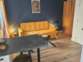 Studio entièrement rénové idéalement situé