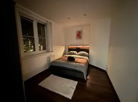 Ubytování Resslova