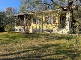 Villa Cà Bottura agli ulivi
