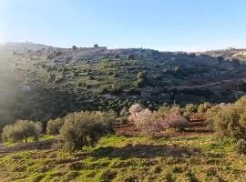 بيت ريفي و اطلاله جميله