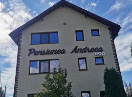 Pensiunea Andreea: Baia de Fier şehrinde bir otel