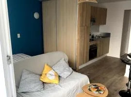 Cozy studio apartment for 2 people downtown