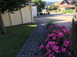 Ferienwohnung Reiner, Hotel in Albbruck