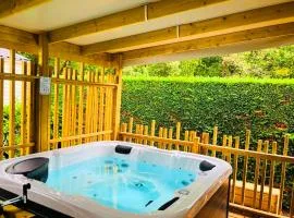 Mobil-home Prestige avec Jacuzzi et Terrasse - API-1-52-1440