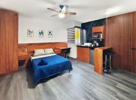 Modern & Private Loft in Morales, SLP, 1 Bedroom