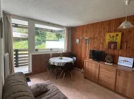 Appartement cosy 1 chambre, au centre de Super Besse - FR-1-814-1