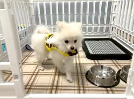 大阪でワンちゃんと一緒に泊まれる宿