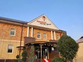 Maximum Hotel