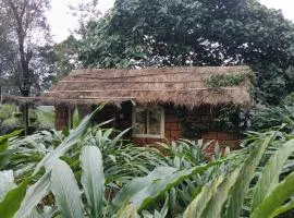 Cardamom couple stay vagamon