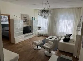 Great downtown Foorum Center apartment