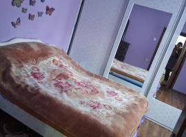 Family House, Hotel in Ciuruleasa