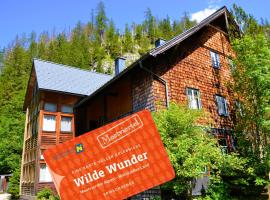 Quellhuette Dachbodn، فندق في Weichselboden