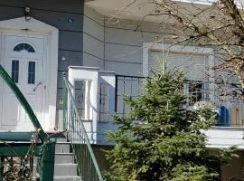 ΚΑΡΔΙΤΣΑ Μοναδικο Οικογεκειακο