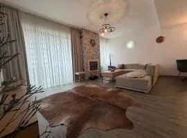 Apartment A36 Silver Mountain