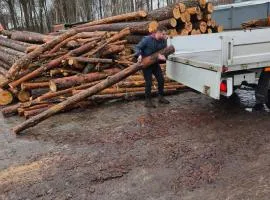 Słoneczne domki na Roztoczu