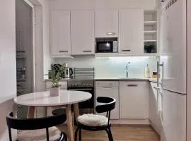 Borg Itsenäisyydenkatu, Large Studio Apt