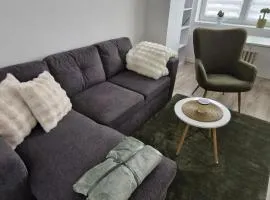 2-room apartment in the center, near Xbionic-sphere