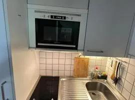 Piso centrico agradable