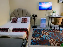 Rooftop Terrace Nsambya Studio 1km to US Embassy