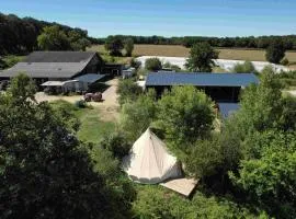 Le camping à la ferme des Rangs d'Oignons