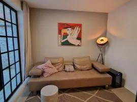 Original apartment with garden in Pisek