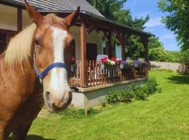 Minor Major Vendégház