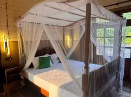 WILD PARADISE Apt