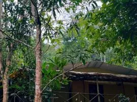 Hidden Escape Eco-Stay