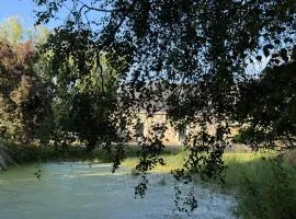 Gîte LES GRANDS ORMEAUX