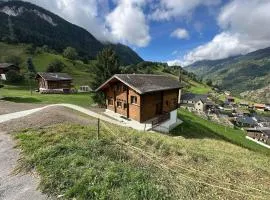 Swiss Chalet Mallum - ground floor apartment