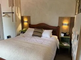 Skema Collections Quito