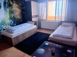 Apartament Vitan Seuca