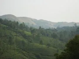 Golden Hillview Homestays