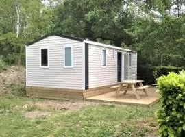 Mobil home avec terrasse - 6 pers. - API-1-52-1971