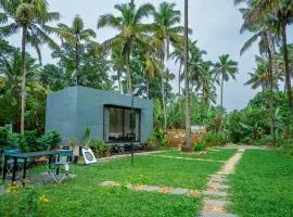 Arbox Daycation