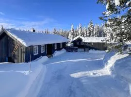 3 Bedroom Awesome Home In Sjusjøen