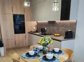 Apartament Zielone Wzgórze 3