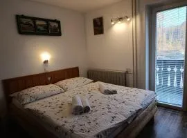 Apartments and rooms Cerkovnik