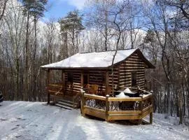 Peaceful Mountain Cabin with Mt Yonah Views with Fire Pit and Outdoor Dining in Sautee Nacoochee, Georgia