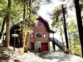 Rustic-Modern Log Cabin Getaway: Family-Friendly, Quiet Ranch, Wildlife at Your Door in Clyde, North Carolina