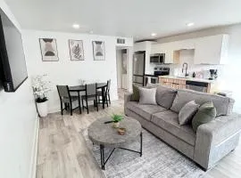 New Modern 1BR Apartment Near Downtown Dallas
