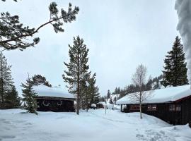 Gorgeous Home In Flatdal With Sauna, Hotel in Flatdal